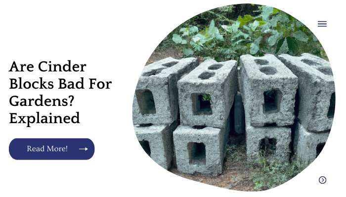 Are Cinder Blocks Bad For Gardens? Explained