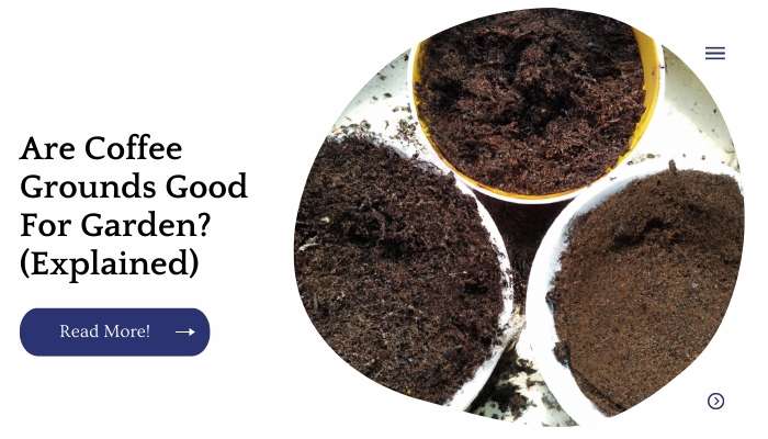 Are Coffee Grounds Good For Garden? (Explained)