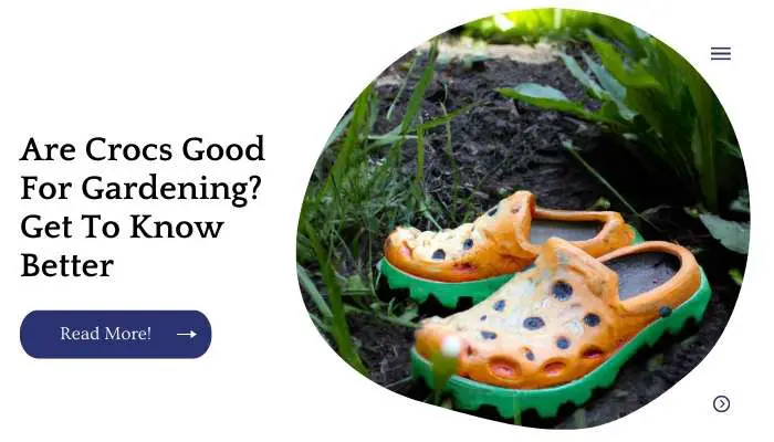 Are Crocs Good For Gardening? Get To Know Better