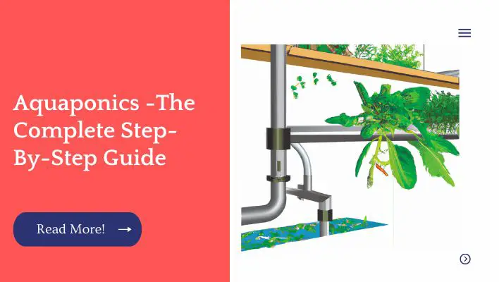 Aquaponics -The Complete Step-By-Step Guide