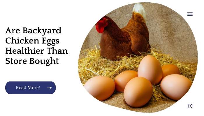 Are Backyard Chicken Eggs Healthier Than Store Bought