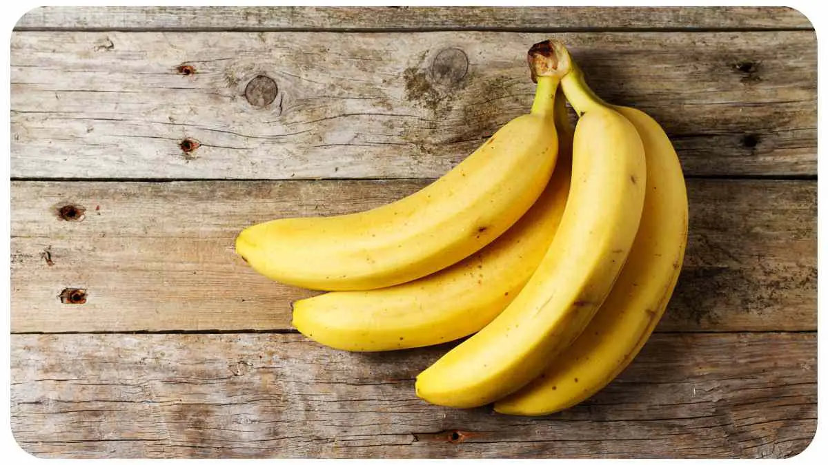 Are Bananas Good For Garden Soil? (Explained)