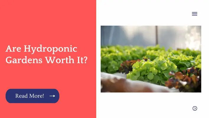 Are Hydroponic Gardens Worth It?