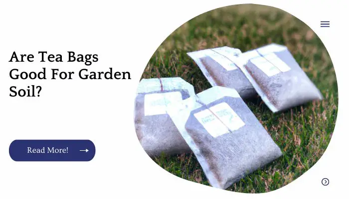 Are Tea Bags Good For Garden Soil?