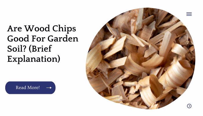 Are Wood Chips Good For Garden Soil? (Brief Explanation)