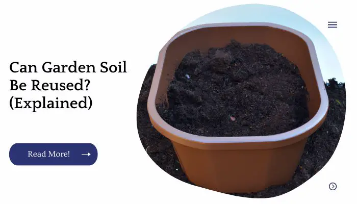 Can Garden Soil Be Reused? (Explained)