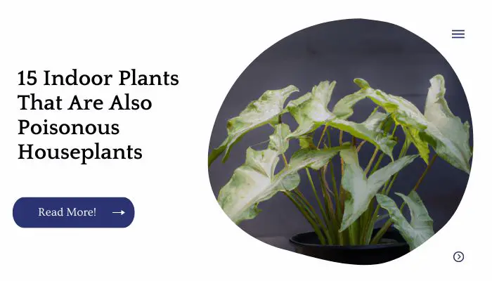 15 Indoor Plants That Are Also Poisonous Houseplants