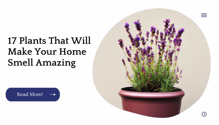 17 Plants That Will Make Your Home Smell Amazing