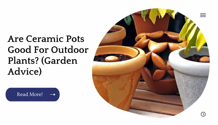Are Ceramic Pots Good For Outdoor Plants? (Garden Advice)