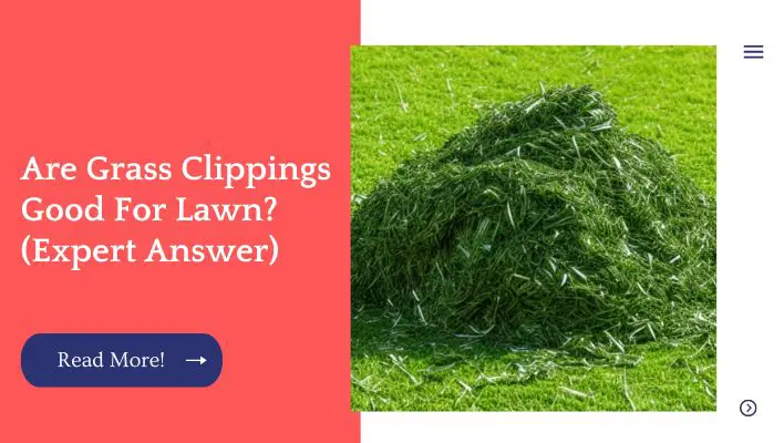 Are Grass Clippings Good For Lawn? (Expert Answer)