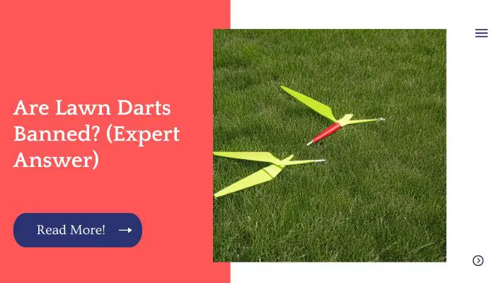 Are Lawn Darts Banned? (Expert Answer)