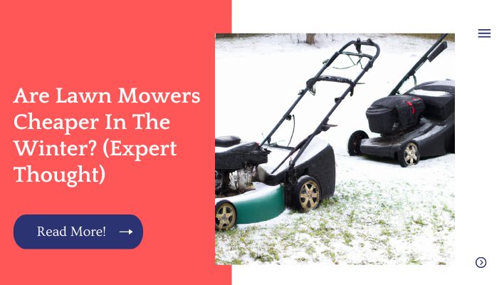 Are Lawn Mowers Cheaper In The Winter? (Expert Thought)