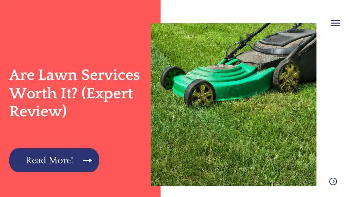 Are Lawn Services Worth It? (Expert Review)