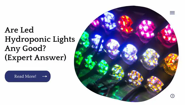 Are Led Hydroponic Lights Any Good? (Expert Answer)