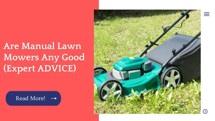 Are Manual Lawn Mowers Any Good (Expert ADVICE)