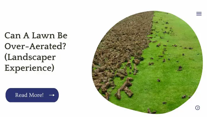 Can A Lawn Be Over Aerated? (Landscaper Experience)