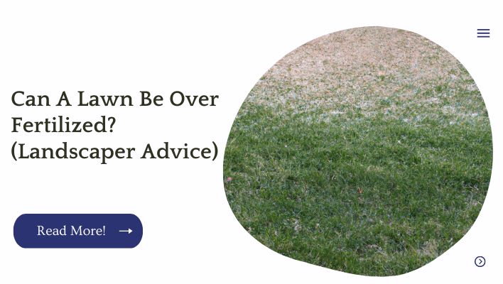 Can A Lawn Be Over Fertilized? (Landscaper Advice)