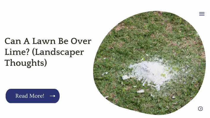 Can A Lawn Be Over Lime? (Landscaper Thoughts)