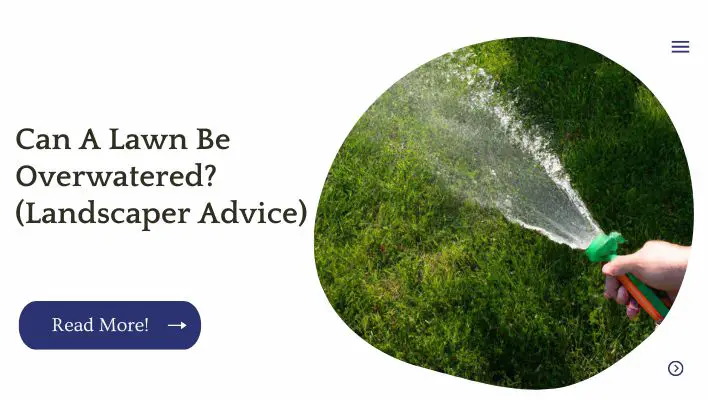 Can A Lawn Be Overwatered? (Landscaper Advice)
