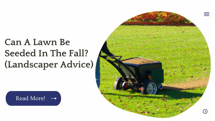 Can A Lawn Be Seeded In The Fall? (Landscaper Advice)