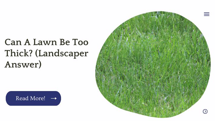 Can A Lawn Be Too Thick? (Landscaper Answer)