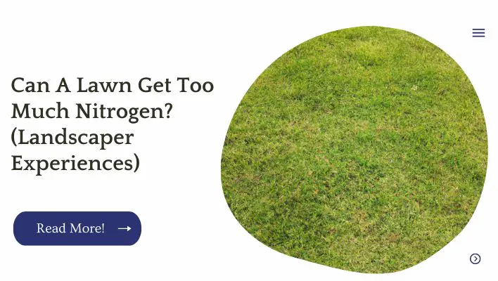 Can A Lawn Get Too Much Nitrogen (Landscaper Experiences) (1)