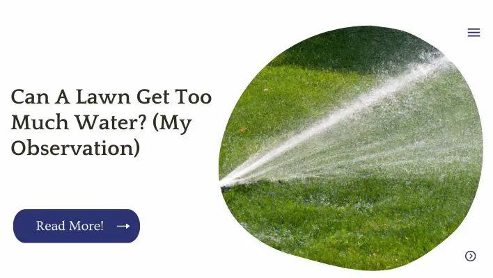 Can A Lawn Get Too Much Water? (My Observation)