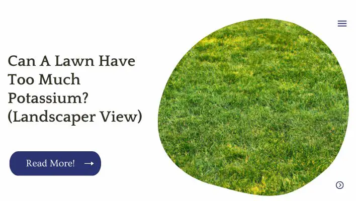 Can A Lawn Have Too Much Potassium? (Landscaper View)