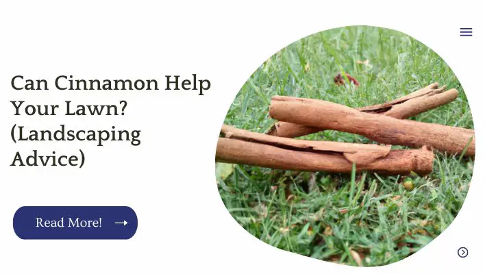 Can Cinnamon Help Your Lawn? (Landscaping Advice)