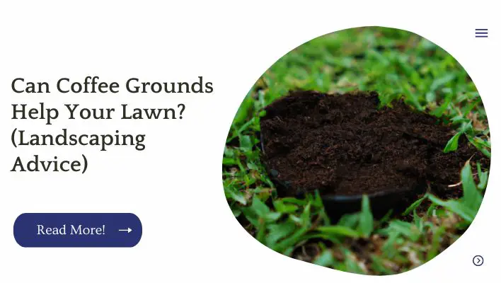 Can Coffee Grounds Help Your Lawn? (Landscaping Advice)