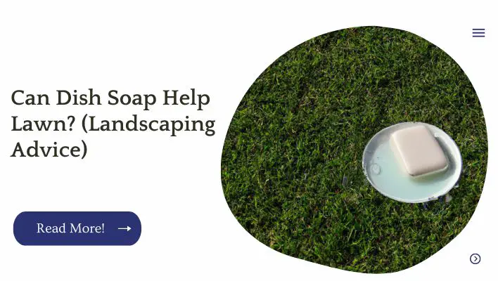 Can Dish Soap Help Lawn? (Landscaping Advice)