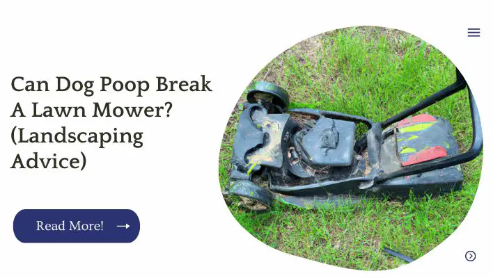 Can Dog Poop Break A Lawn Mower? (Landscaping Advice)