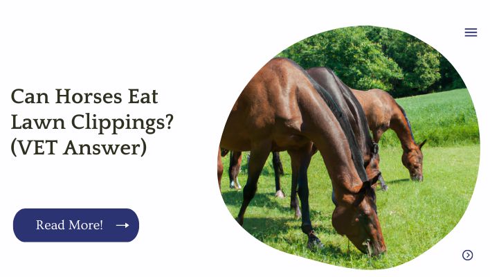 Can Horses Eat Lawn Clippings? (VET Answer)