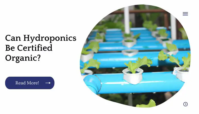 Can Hydroponics Be Certified Organic?
