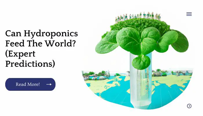 Can Hydroponics Feed The World? (Expert Predictions)