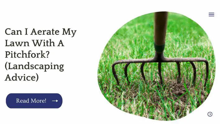 Can I Aerate My Lawn With A Pitchfork? (Landscaping Advice)