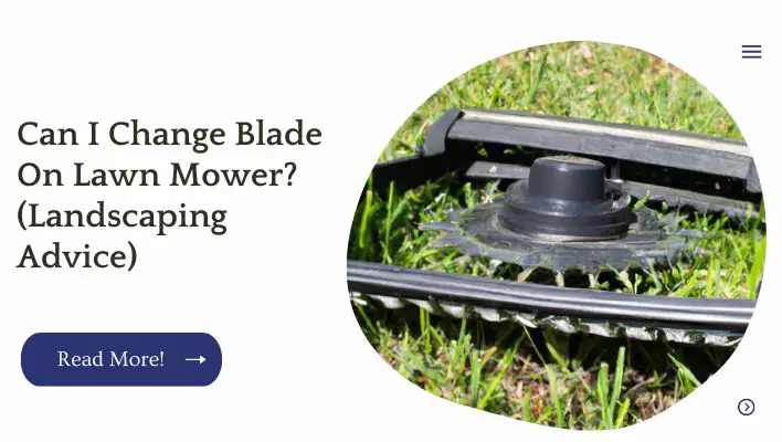 Can I Change Blade On Lawn Mower? (Landscaping Advice)