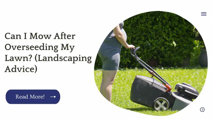 Can I Mow After Overseeding My Lawn? (Landscaping Advice)