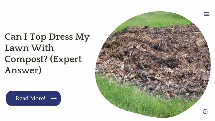 Can I Top Dress My Lawn With Compost? (Expert Answer)