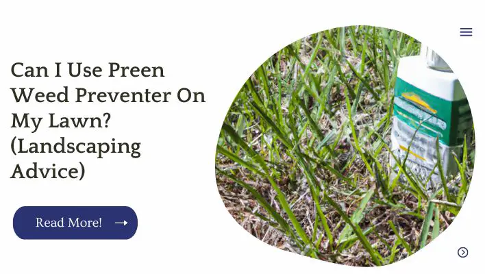 Can I Use Preen Weed Preventer On My Lawn? (Landscaping Advice)