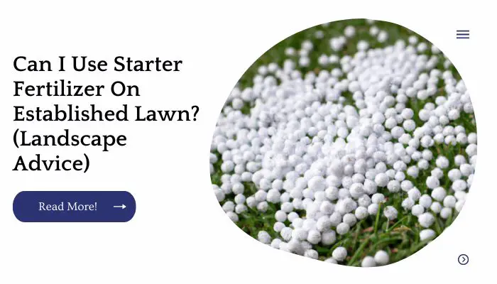 Can I Use Starter Fertilizer On Established Lawn? (Landscape Advice)