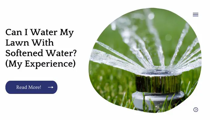 Can I Water My Lawn With Softened Water? (My Experience)