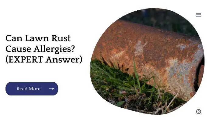 Can Lawn Rust Cause Allergies? (EXPERT Answer)