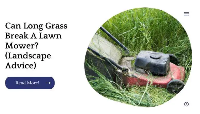 Can Long Grass Break A Lawn Mower? (Landscape Advice)
