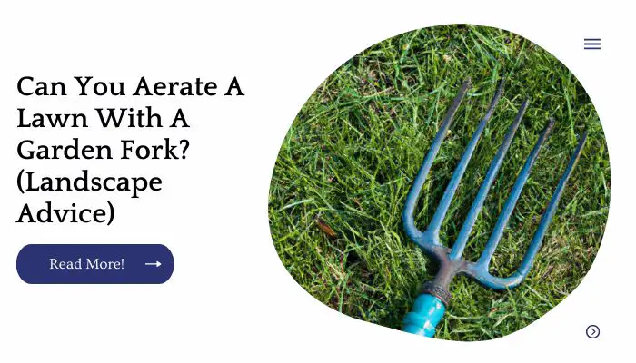 Can You Aerate A Lawn With A Garden Fork? (Landscape Advice)