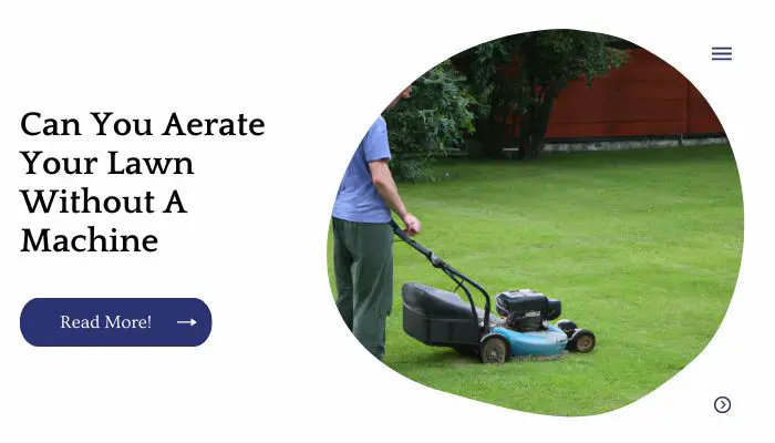 Can You Aerate Your Lawn Without A Machine