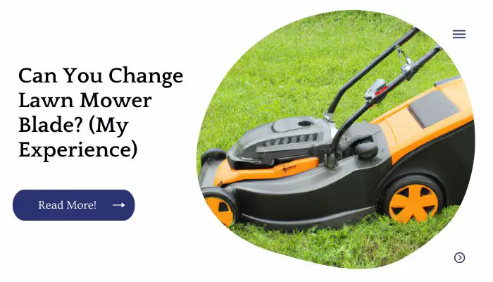 Can You Change Lawn Mower Blade? (My Experience)