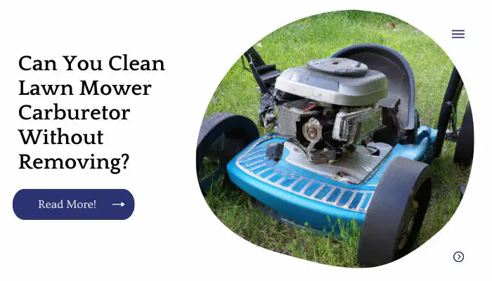 Can You Clean Lawn Mower Carburetor Without Removing?