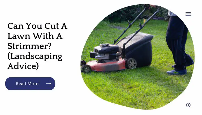 Can You Cut A Lawn With A Strimmer? (Landscaping Advice)