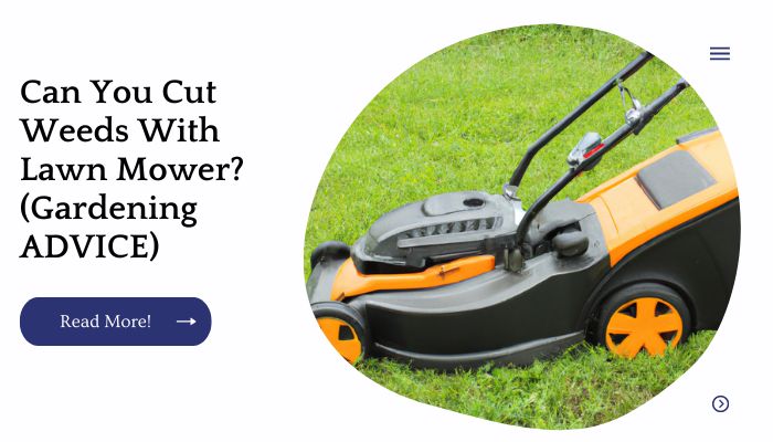 Can You Cut Weeds With Lawn Mower? (Gardening ADVICE)